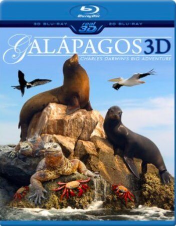 Galapagos 3D Online 1999