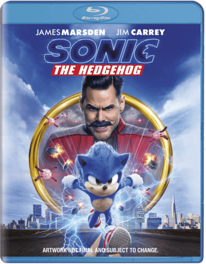 Sonic the Hedgehog 3D Online 2020