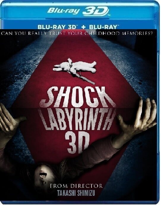 The Shock Labyrinth 3D online 2009