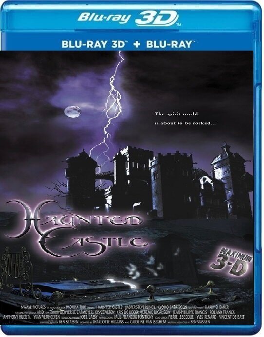 Haunted Castle 3D online 2001